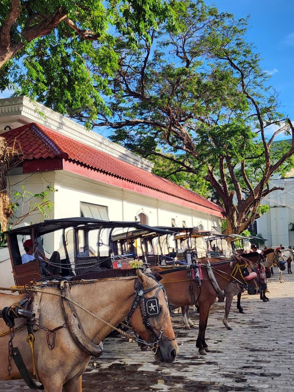The Orange House - Vigan Villa Esterno foto